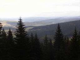 Resize of PA290053.JPG